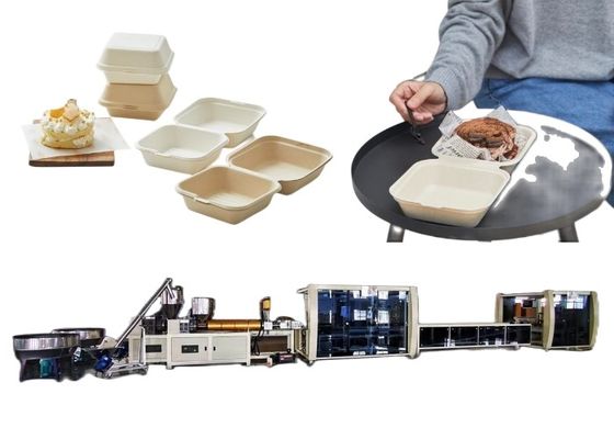 Máy vỉ vỉ Burger Box Line Máy đựng thực phẩm có thể phân hủy sinh học dùng một lần